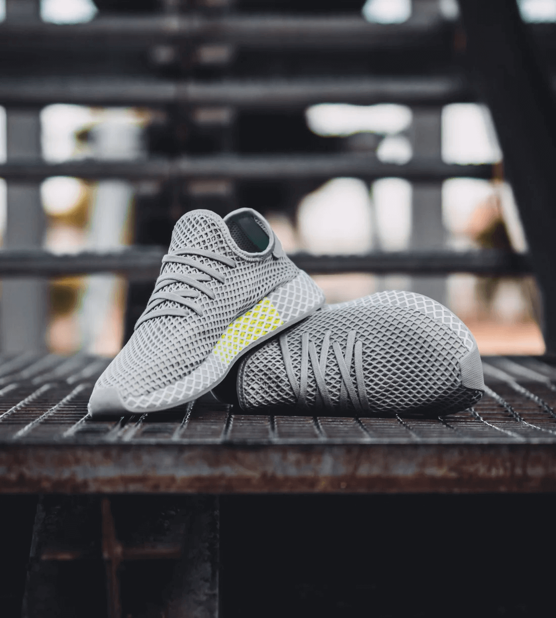 Walk the Urban Jungle in Style